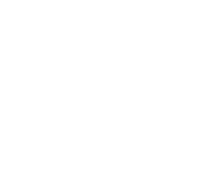 Carlitos Brioche Gourmet